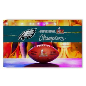 Philadelphia Eagles NFL 2025 Super Bowl LIX Parade Washable Rug 36X62 Inches