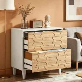 File Cabinet with Adjustable Stainless and Solid for Office (Option: default title)